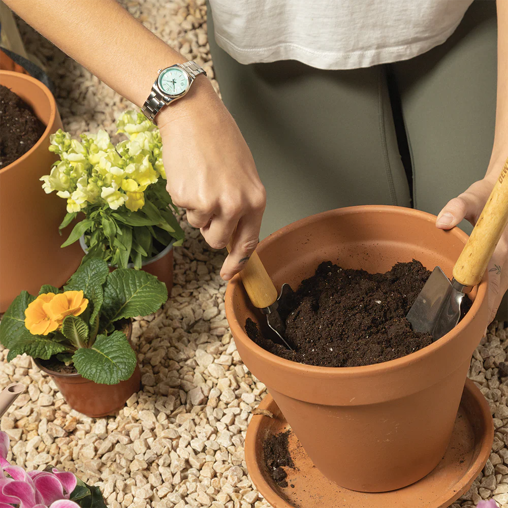 Journey Mini - Image 4